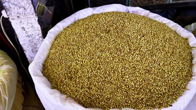 Close up view of whole coriander seeds displayed in a large sack at a traditional market in Indore Madhya Pradesh India used as a common spice in Indian cooking.