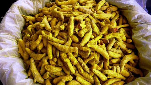 Close up view of whole turmeric roots displayed in a large sack at a traditional market in Indore Madhya Pradesh India used as a spice and natural ingredient in cooking.