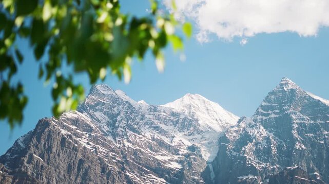 4K shot of snowy Himalayan mountain peak with defocused leaves of Poplar trees waving in the wind as seen from Khangsar village in Lahaul and Spiti district, Himachal Pradesh, India. Natural view.