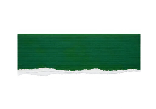 Torn green paper strip on white background texture closeup transparent background