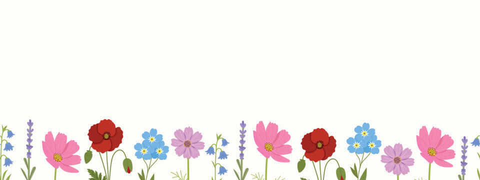 Wildflowers seamless border vector, isolated horizontal floral frame with field flowers.