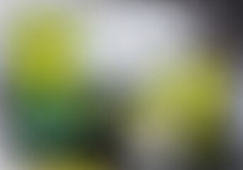 Obraz premium Abstract background with blurred green and yellowgreen soft gradients and out of focus light