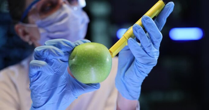 Woman scientist inspects green apple for nitrates with yellow tester. Gloved hands hold fruit and device close as checking food sample quality in lab