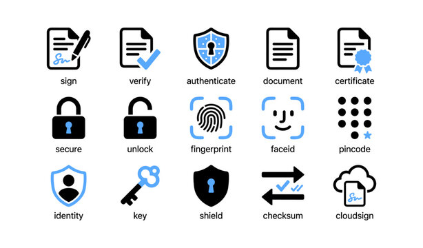 Identity and authentication icons showing security functions on white