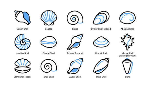 Seashell icons displaying various shell types in grid