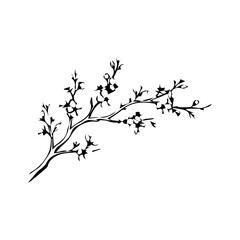 Obraz premium Minimalist Flowering Branch Vector Illustration