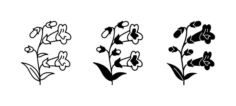 Floral Vector Icons: Penstemon Flower Line Art, Silhouette, and Filled Styles
