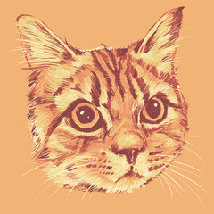 Mew mew cat - Animal Series © rekarupa