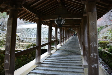 Obraz premium 奈良県 桜井市の長谷寺～花の御寺（秋）