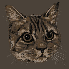 Mew Mew Cat - animal Series © rekarupa