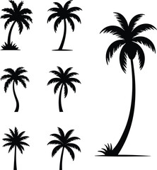Fototapeta premium Collection of Black Palm Tree Silhouettes for Tropical Beach Travel and Summer Vacation Graphic Design Projects Vector Elements Set