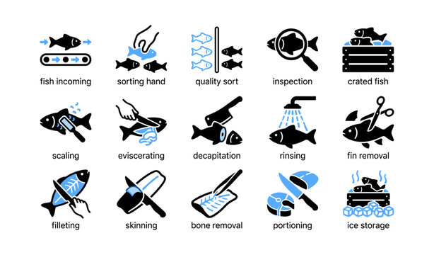 Fish processing icons and steps displayed on white background