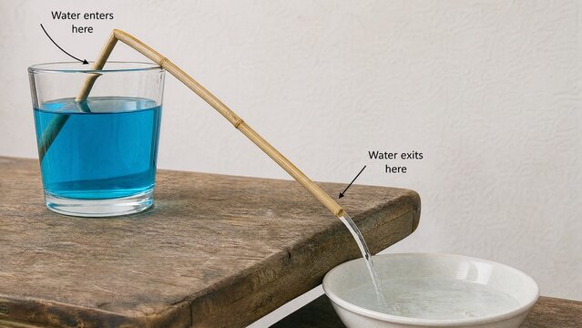 siphon. Hollow reed demonstrating siphon principle with water flowing through. STEM education sheets, lab safety posters, designed for STEM education and laboratory safety posters.