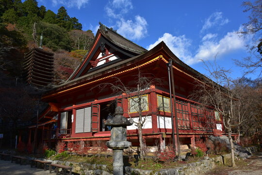 奈良県 桜井市の談山神社（秋の紅葉）