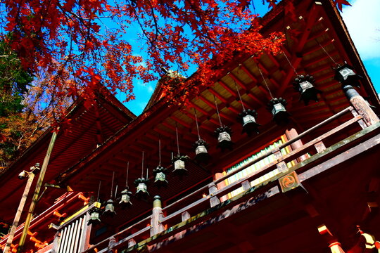 奈良県 桜井市の談山神社（秋の紅葉）