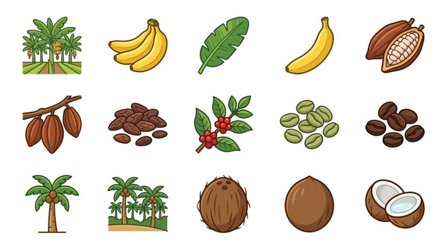 Coconuts and tropical fruit icons.
