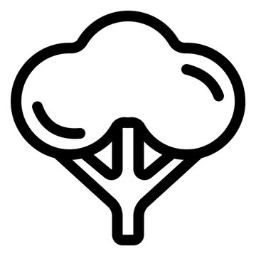 Healthy Broccoli Head Line Icon