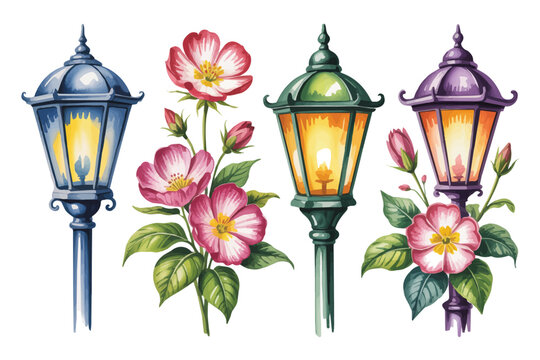 watercolor Evening Primrose Flower Floral Street Lantern vector illustration isolated on white background