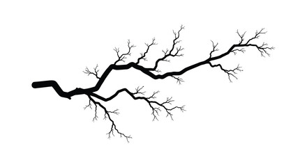 tree branch silhouette black white background nature © IMkM00i76