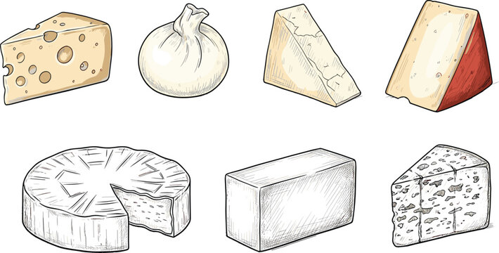 Assorted gourmet cheese vector set with sketch style parmesan emmental brie and blue cheese isolated elements