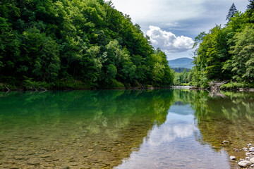 Fototapeta premium Crystal clear Kolpa River flowing through lush green forest landscape on the Slovenia Croatia border showcasing pristine ecotourism and nature travel destination