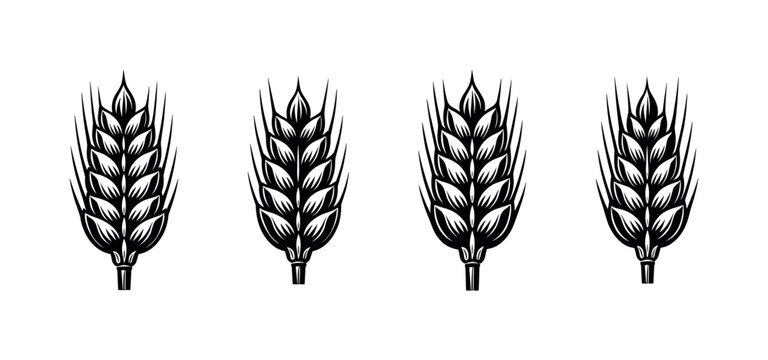 Row of stylized wheat ears in black and white vector illustration