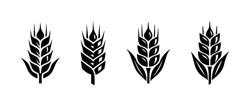 Collection of stylized wheat ears in black and white vector graphics