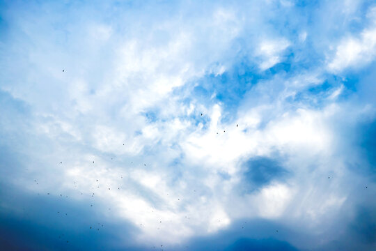 Dramatic Cloudy Sky with Flying Birds in Blue Background