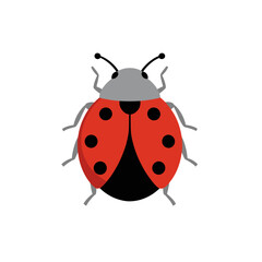Fototapeta premium Ladybug Icon Vector Illustration, Isolated Transparent Background for Web Design and Digital Marketing Use