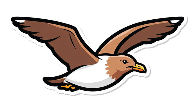 Brown and white bird in flight.