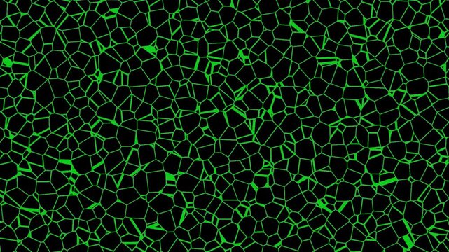 Neon green cracked mosaic pattern on black background texture design element