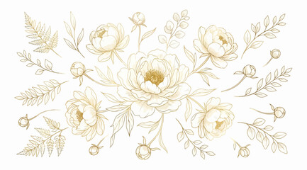 Set of hand drawn peony flowers, buds, leaves and fern branches, golden line art © Saharia