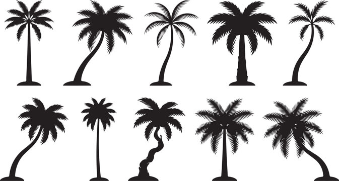 Black and white palm trees vector illustration