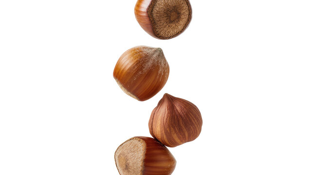Isolated falling hazelnuts with shell, natural brown nuts, raw organic food ingredients.