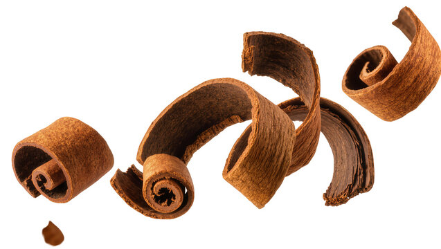 Isolated cinnamon quills and broken pieces floating, aromatic spice for baking and cooking.