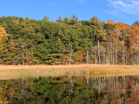Colorful fall foliage and marsh grasses reflect in the calm waters of the North River, creating a peaceful autumn landscape in coastal Massachusetts.