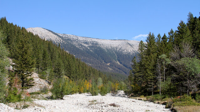A rocky dry creek bed winds through evergreen forest below the limestone ridges of the Big Snowy Mountains in Lewis and Clark National Forest, Montana.