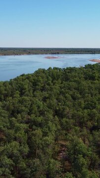 Aerial view of lush riverside forest and wide Syr Darya river with sandy islands, panoramic summer landscape, Kazakhstan. High quality 4k footage