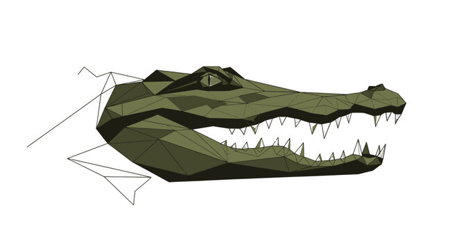 Low Poly Alligator Head with Open Mouth and Sharp Teeth, Geometric Design