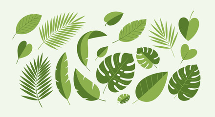 Naklejka premium Green tropical leaves vector illustrations for design and decoration