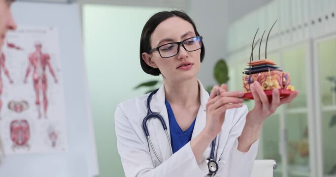 Doctor woman shows human skin layer model to patient in dermatology clinic. Cosmetologist explains medical procedure in cosmetology center slow motion