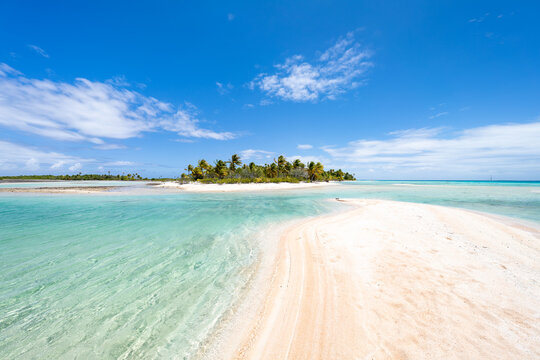 Pink sands also known as Les Sables Roses, Tikehau Atoll, French Polynesia