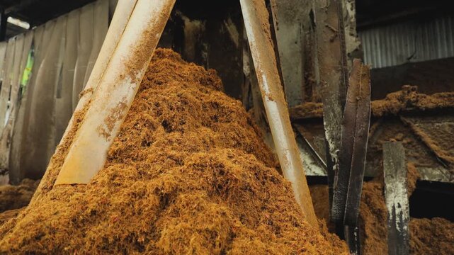 Coir Coconut Fiber Processing
