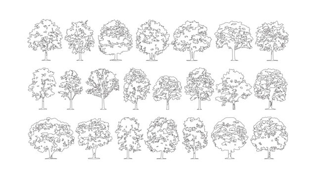 Set of hand drawn deciduous trees in front view for architectural exterior landscape design.