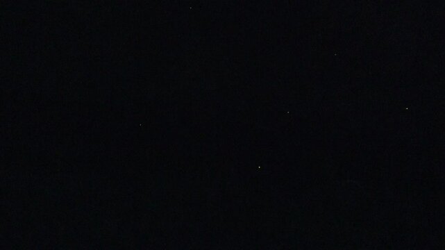 Fireflies