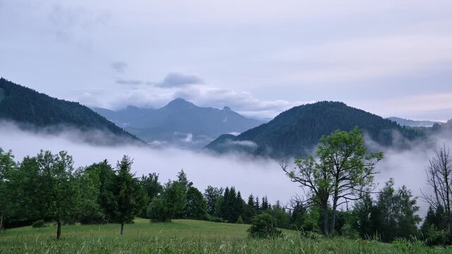  Timelapse Rolling Fog Pouring Through Mountain Valley Over Green Meadow