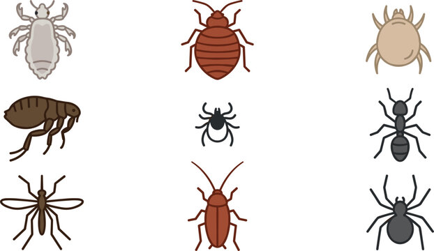 Pest Control Insect Icon Vector Set Featuring Bed Bug Louse Flea Tick Mosquito and Cockroach Parasite Signs Design