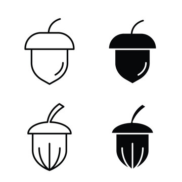 Hazelnut icon