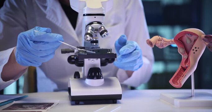 Woman researcher works with microscope near uterus model in lab. Specialist adjusts slide studying sample during focused gynecology analysis