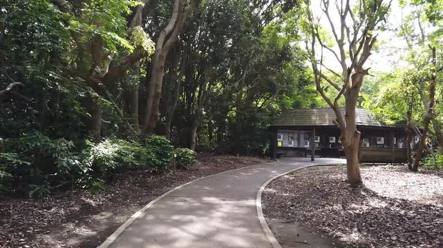 A walking trip around Yatsu Tidal Flat in Chiba, Japan